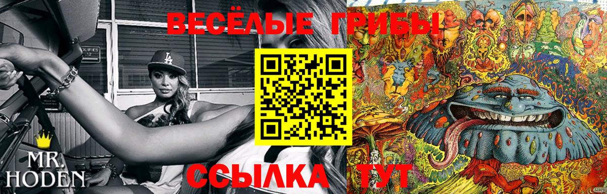 Галлюциногенные грибы Cubensis Шали